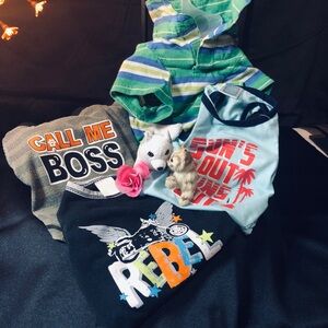 Colorful Pet Clothing Set